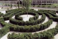 Chamerolles, Chateau, Labyrinthe, plante d'ifs, symbolisait au Moyen-Age, la quete de la Verite